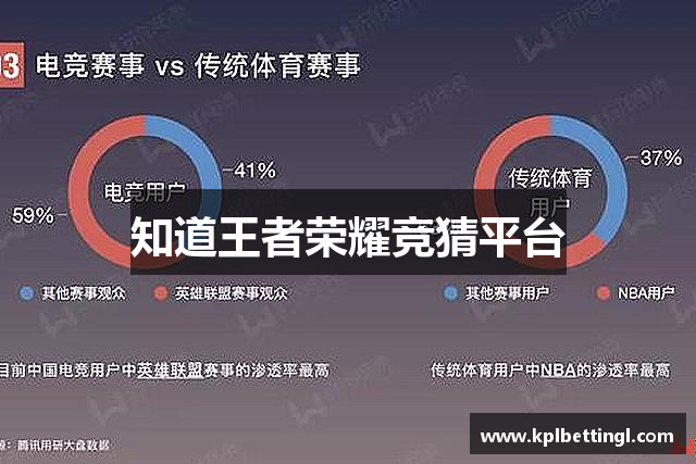 知道王者荣耀竞猜平台